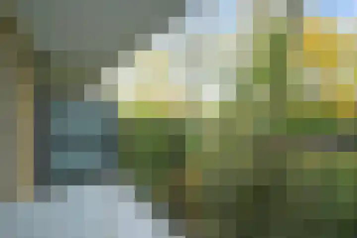 Park Vronesteyn 52 Voorburg thumbnail 56