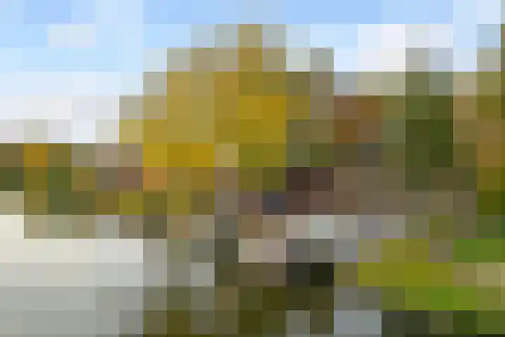 Park Vronesteyn 52 Voorburg thumbnail 59