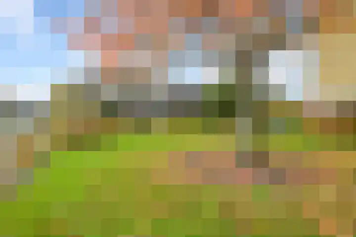 Park Vronesteyn 52 Voorburg thumbnail 6