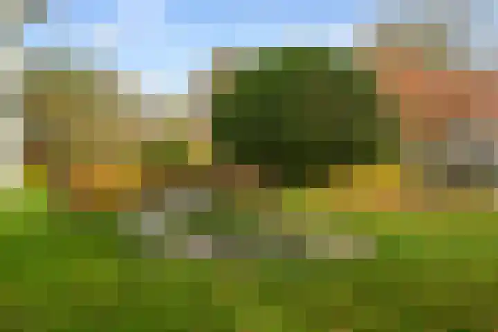 Park Vronesteyn 52 Voorburg thumbnail 9