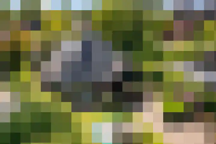 Park Weldam 19 Hoevelaken thumbnail 37