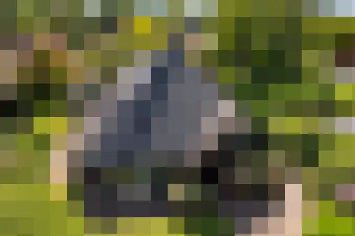 Park Weldam 19 Hoevelaken thumbnail 38