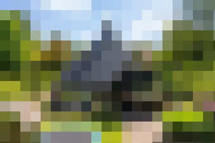 Park Weldam 19 Hoevelaken thumbnail 39