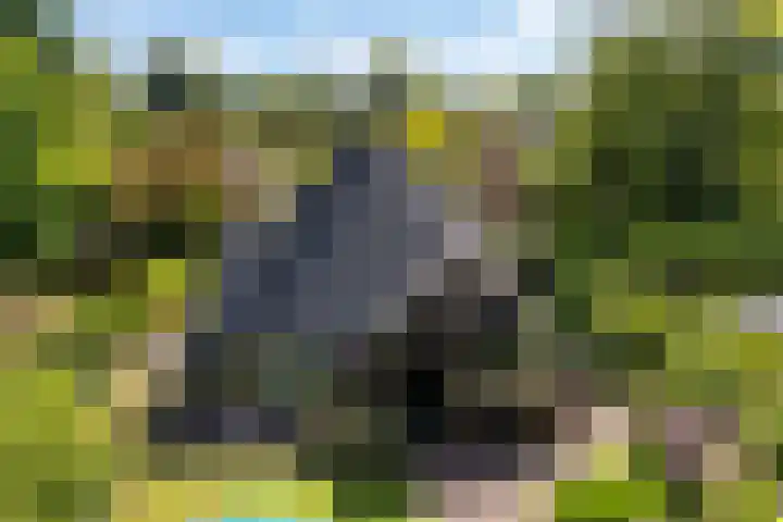 Park Weldam 19 Hoevelaken thumbnail 40