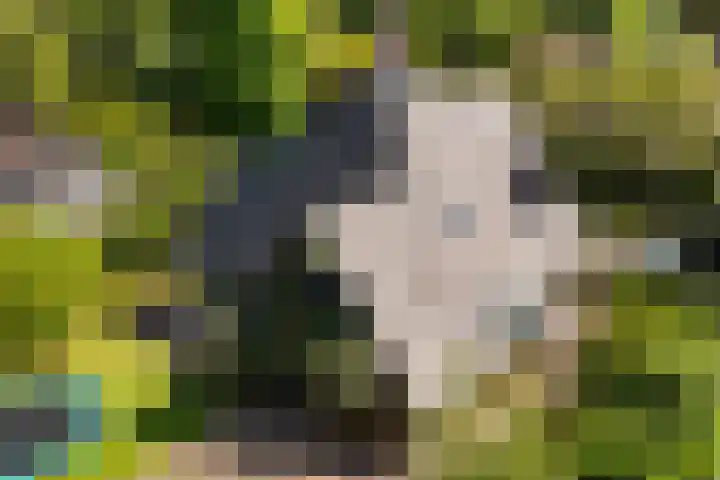 Park Weldam 19 Hoevelaken thumbnail 41