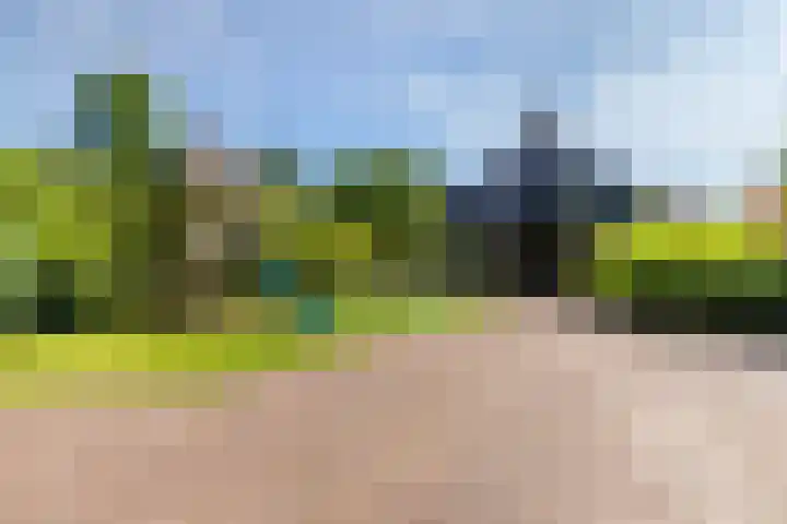Park Weldam 19 Hoevelaken thumbnail 46