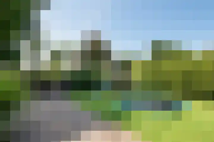 Park Weldam 19 Hoevelaken thumbnail 48