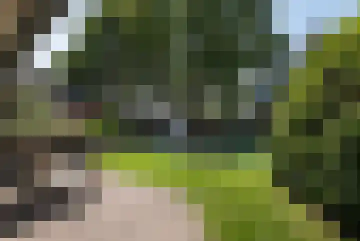 Park Weldam 19 Hoevelaken thumbnail 49