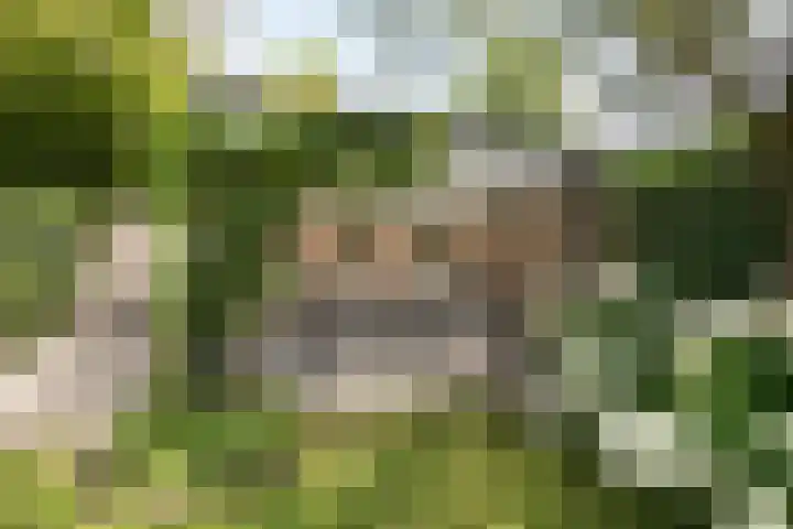 Park Weldam 19 Hoevelaken thumbnail 5