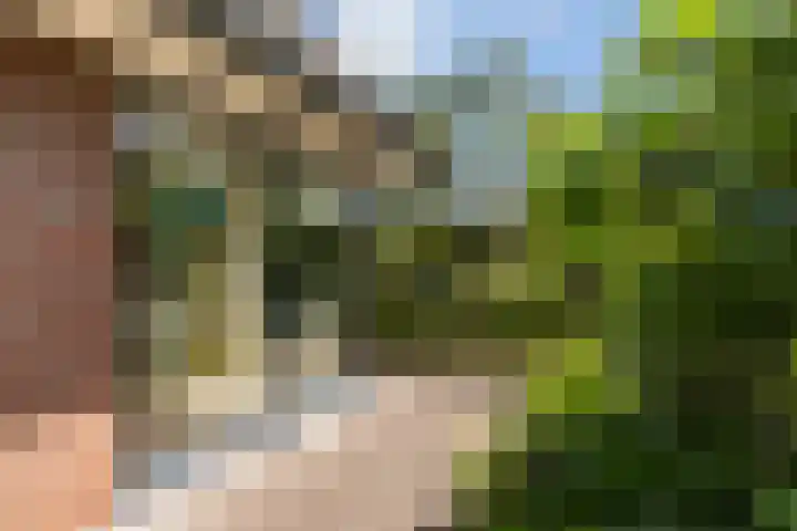 Park Weldam 19 Hoevelaken thumbnail 50