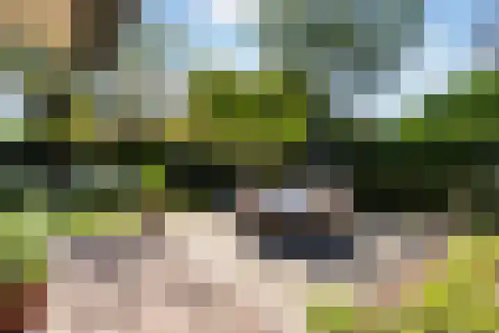 Park Weldam 19 Hoevelaken thumbnail 51