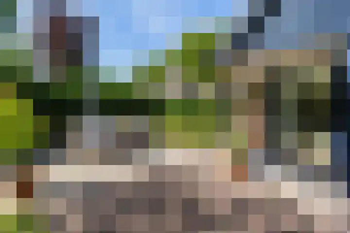 Park Weldam 19 Hoevelaken thumbnail 52