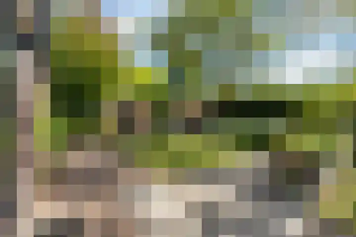 Park Weldam 19 Hoevelaken thumbnail 53