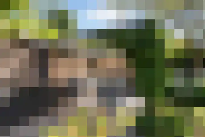 Park Weldam 19 Hoevelaken thumbnail 54