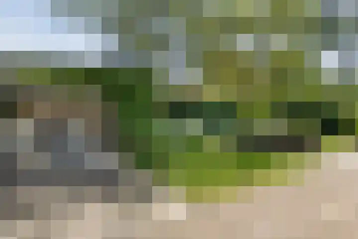 Park Weldam 19 Hoevelaken thumbnail 55