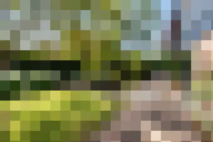 Park Weldam 19 Hoevelaken thumbnail 56