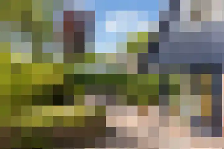 Park Weldam 19 Hoevelaken thumbnail 57