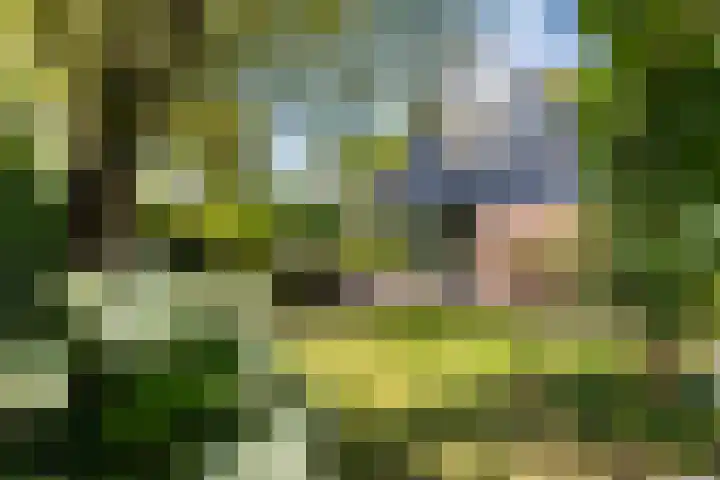 Park Weldam 19 Hoevelaken thumbnail 58