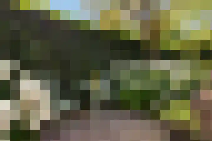 Park Weldam 19 Hoevelaken thumbnail 59