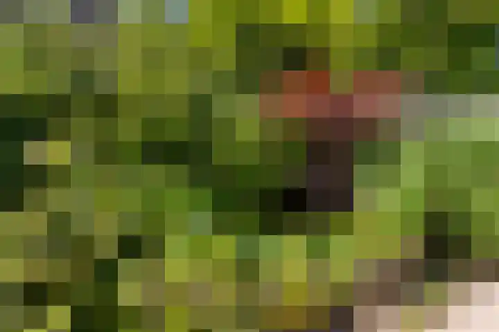 Park Weldam 19 Hoevelaken thumbnail 61