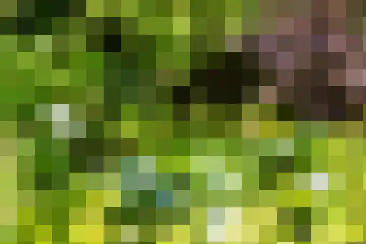 Park Weldam 19 Hoevelaken thumbnail 62