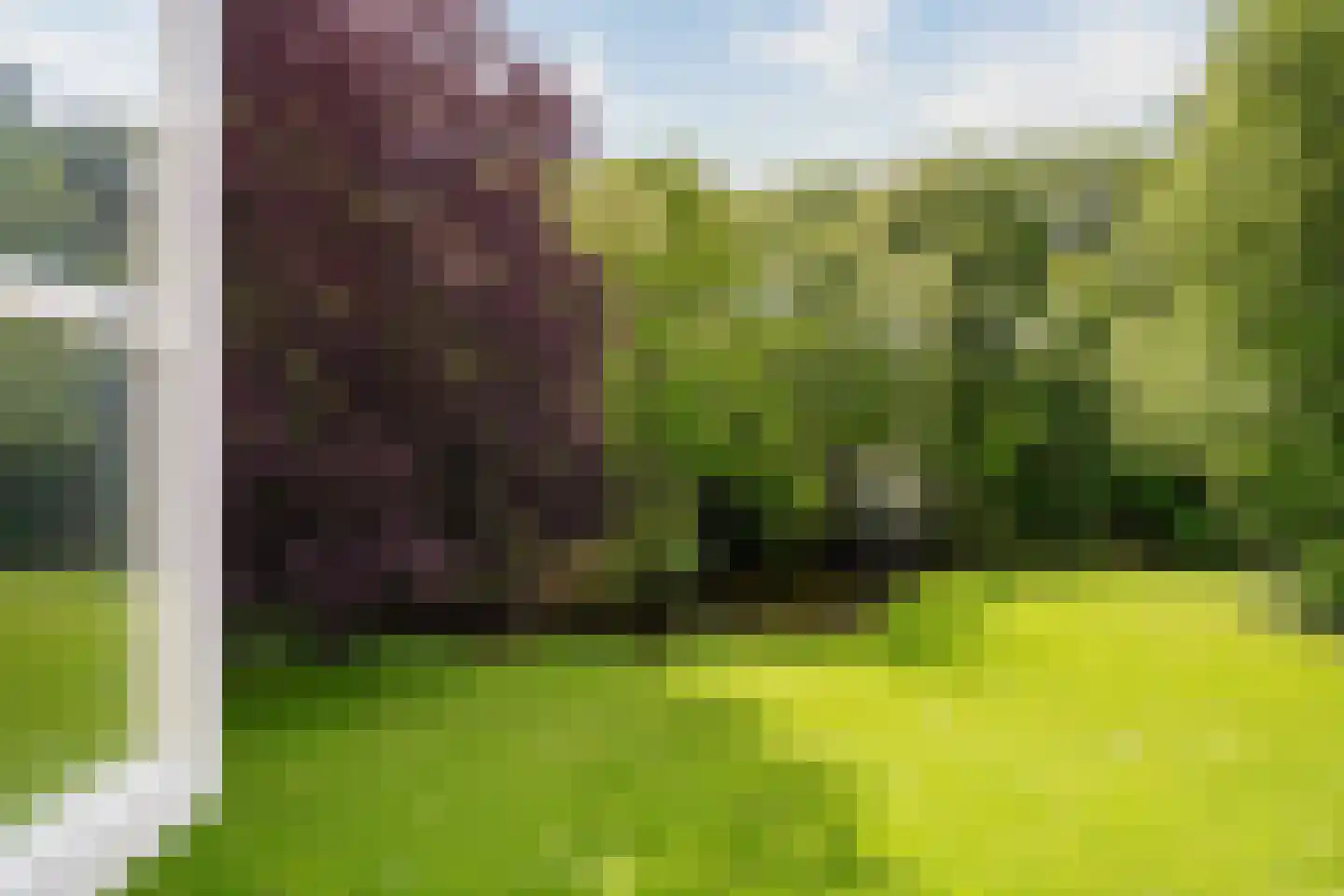 Park Welgelegen 16 Driebergen-Rijsenburg thumbnail 20