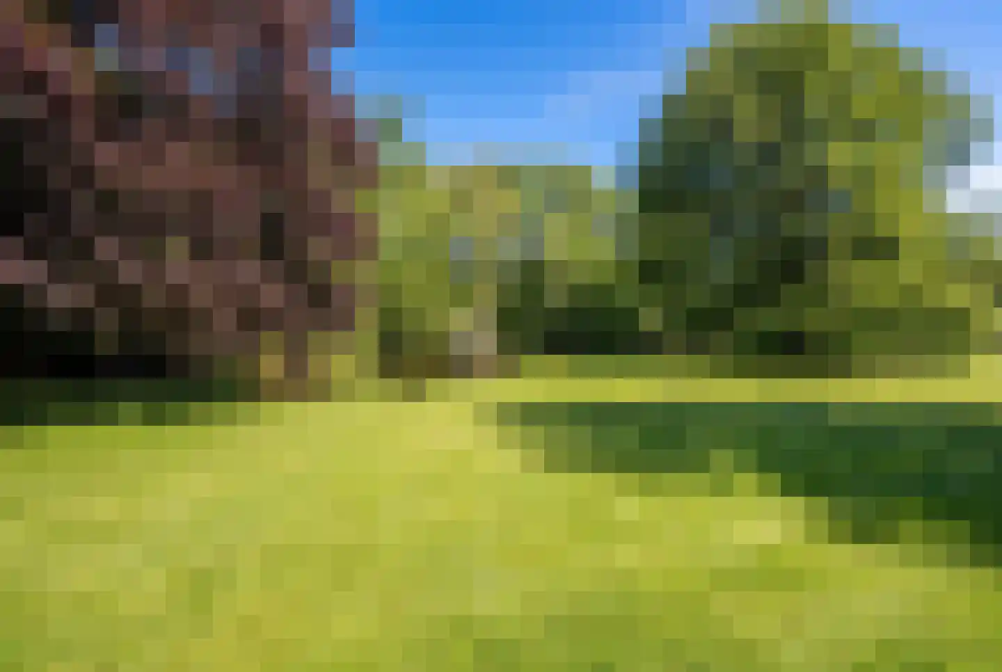 Park Welgelegen 16 Driebergen-Rijsenburg thumbnail 30