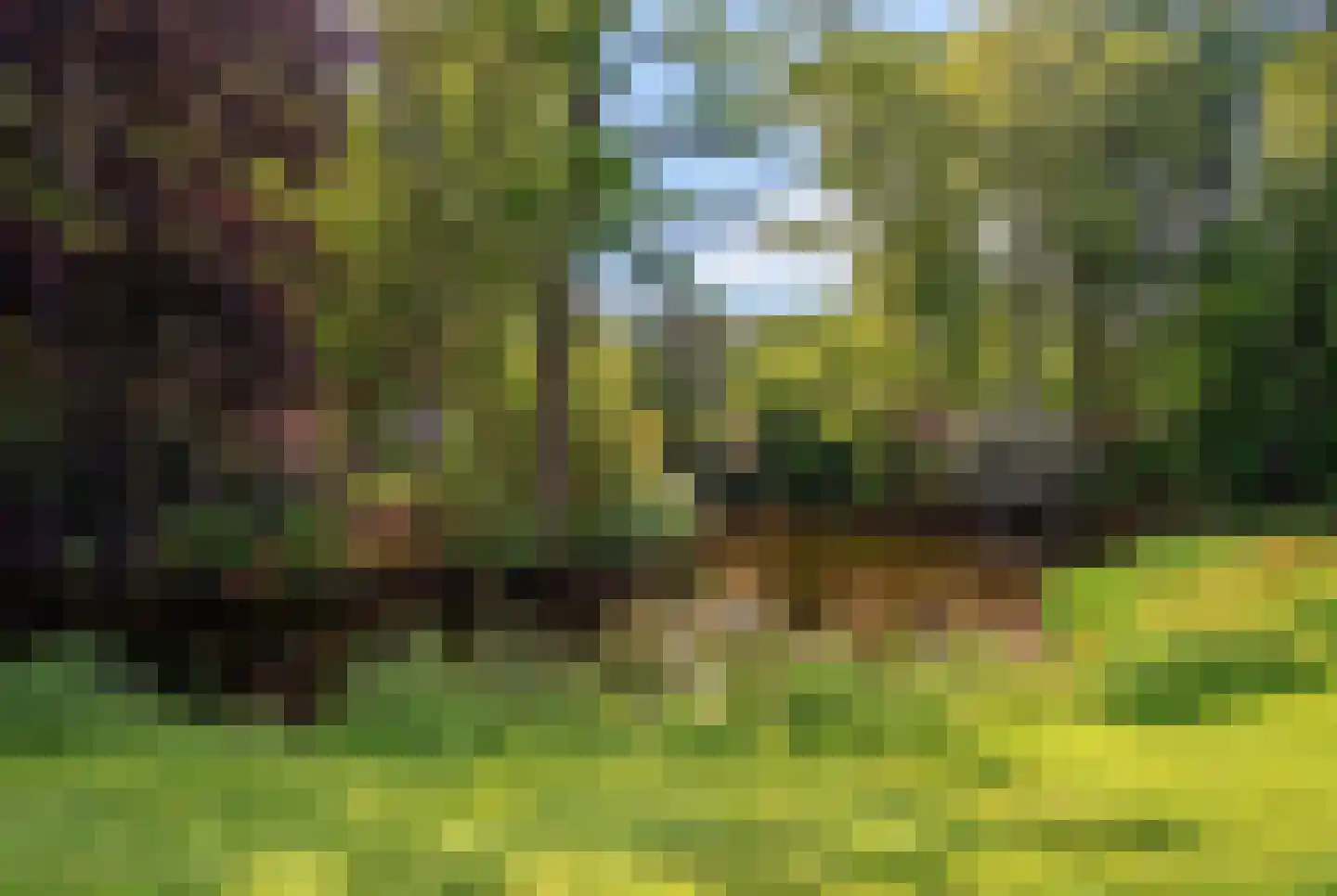Park Welgelegen 16 Driebergen-Rijsenburg thumbnail 33