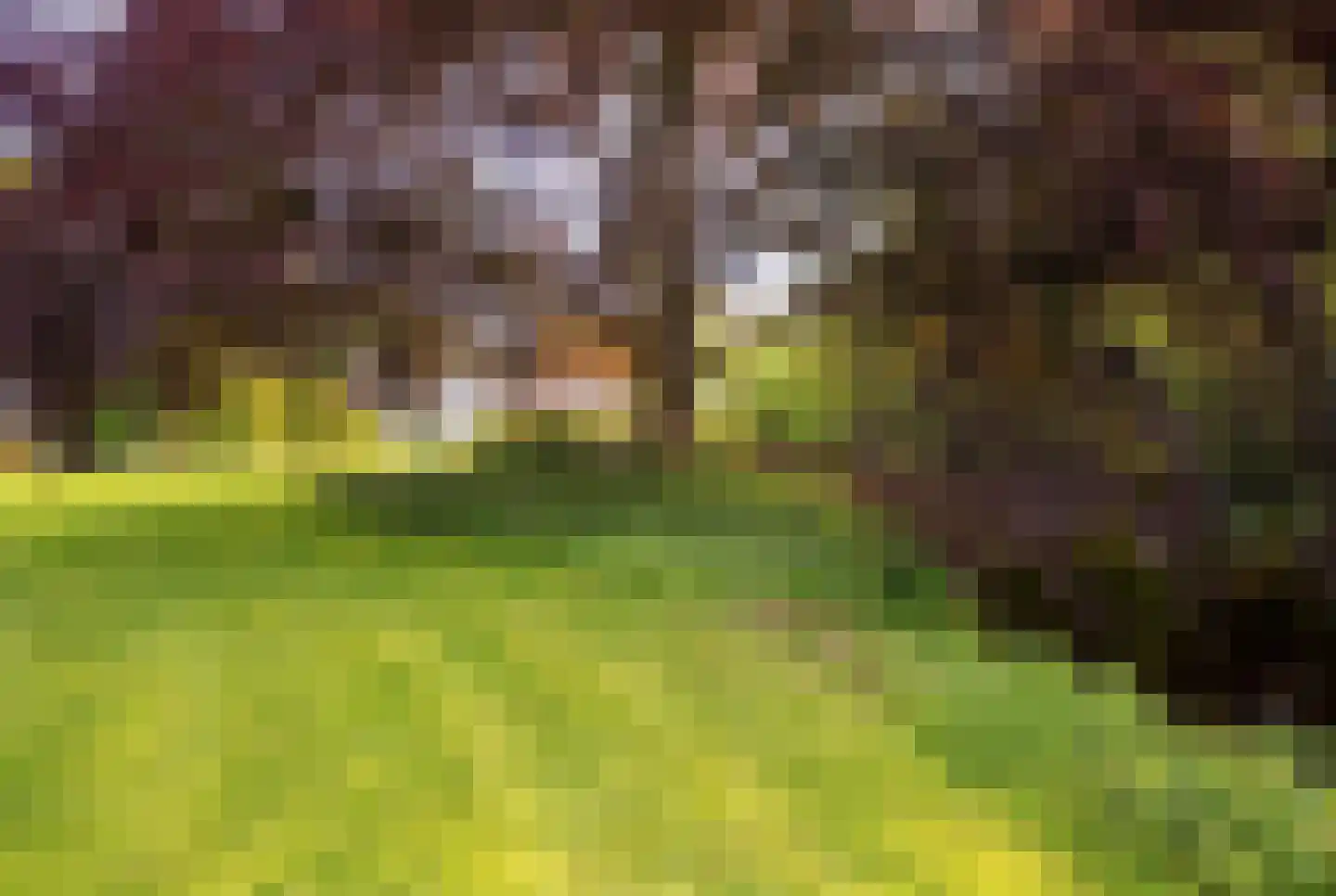 Park Welgelegen 16 Driebergen-Rijsenburg thumbnail 34