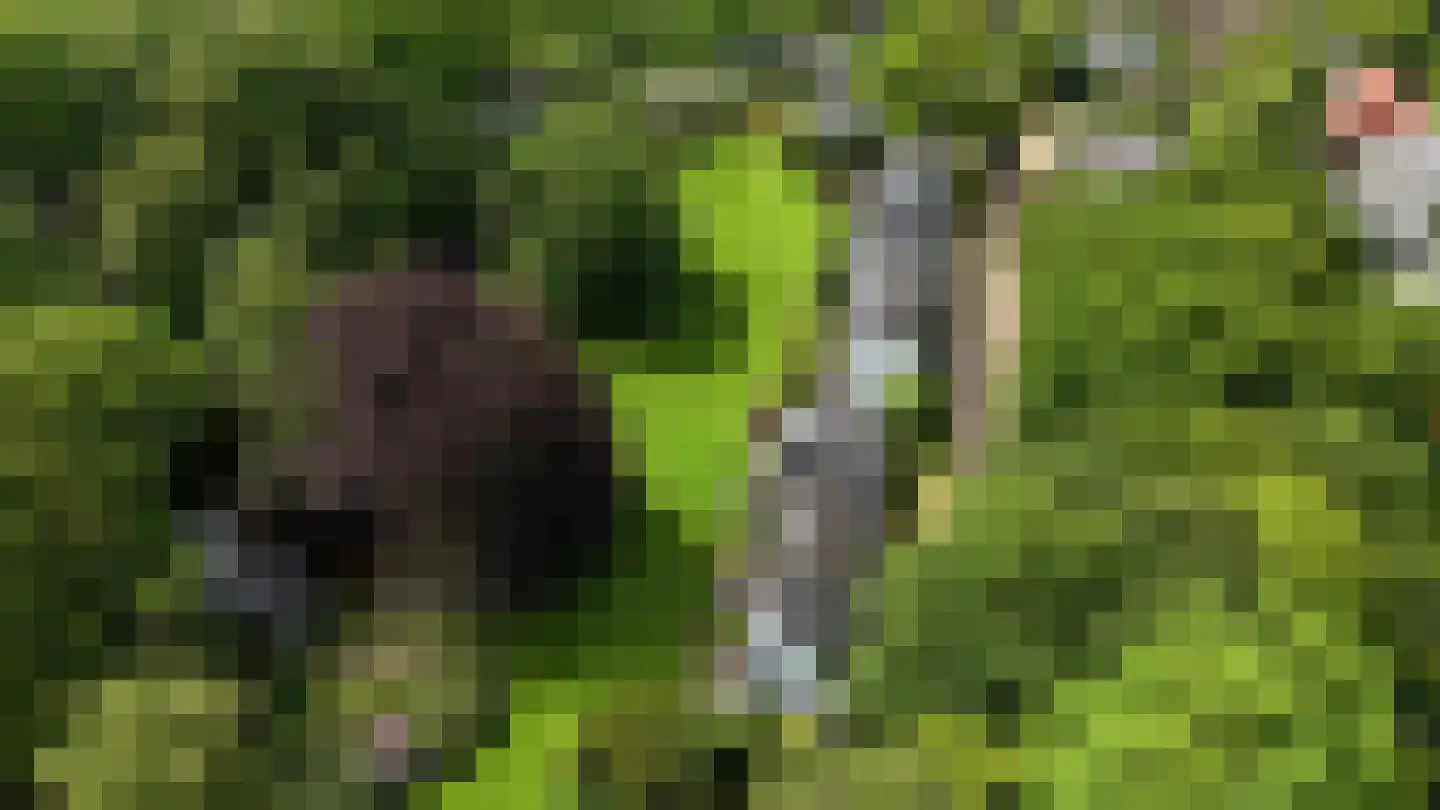 Park Welgelegen 16 Driebergen-Rijsenburg thumbnail 39