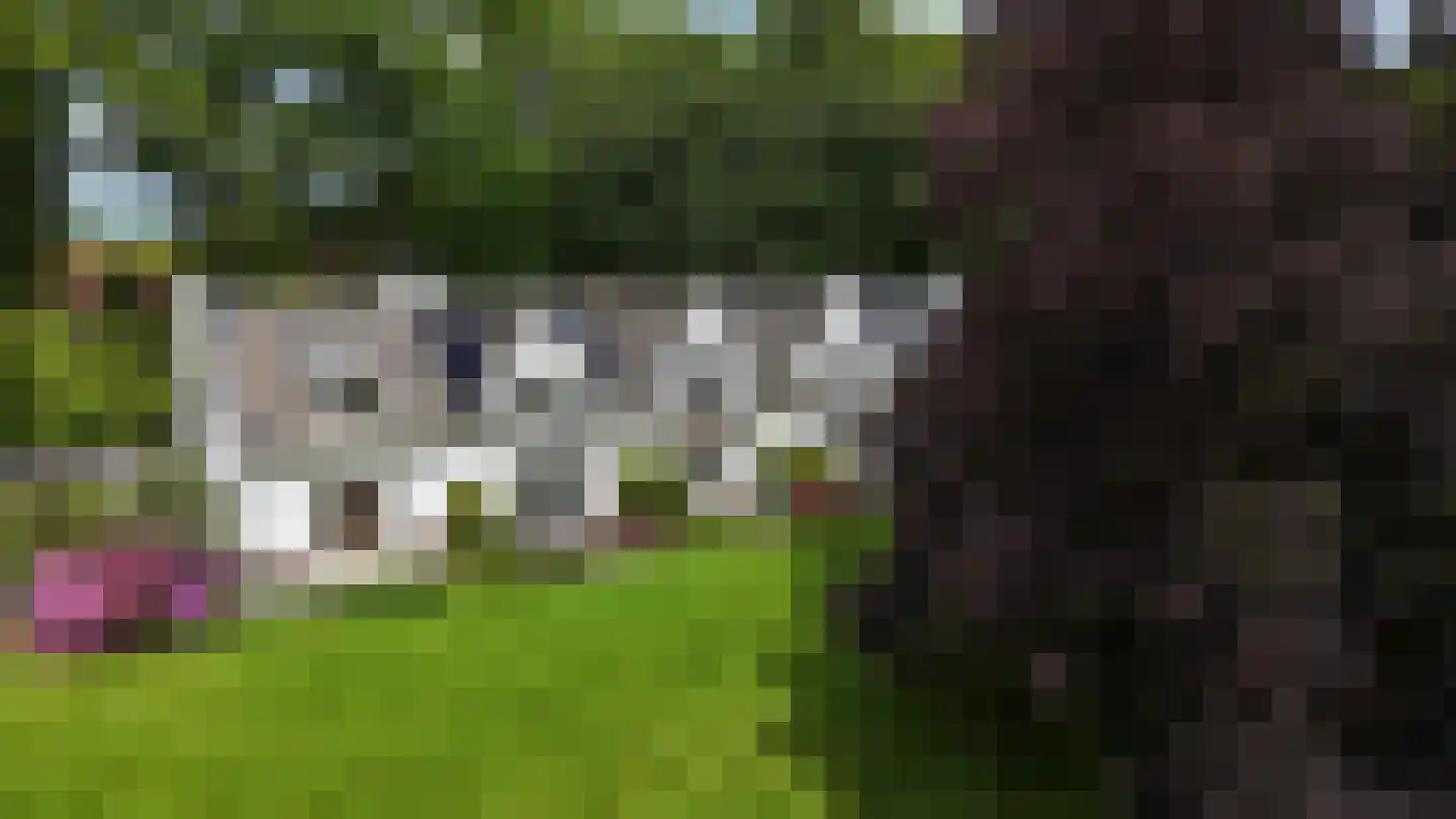 Park Welgelegen 16 Driebergen-Rijsenburg thumbnail 41