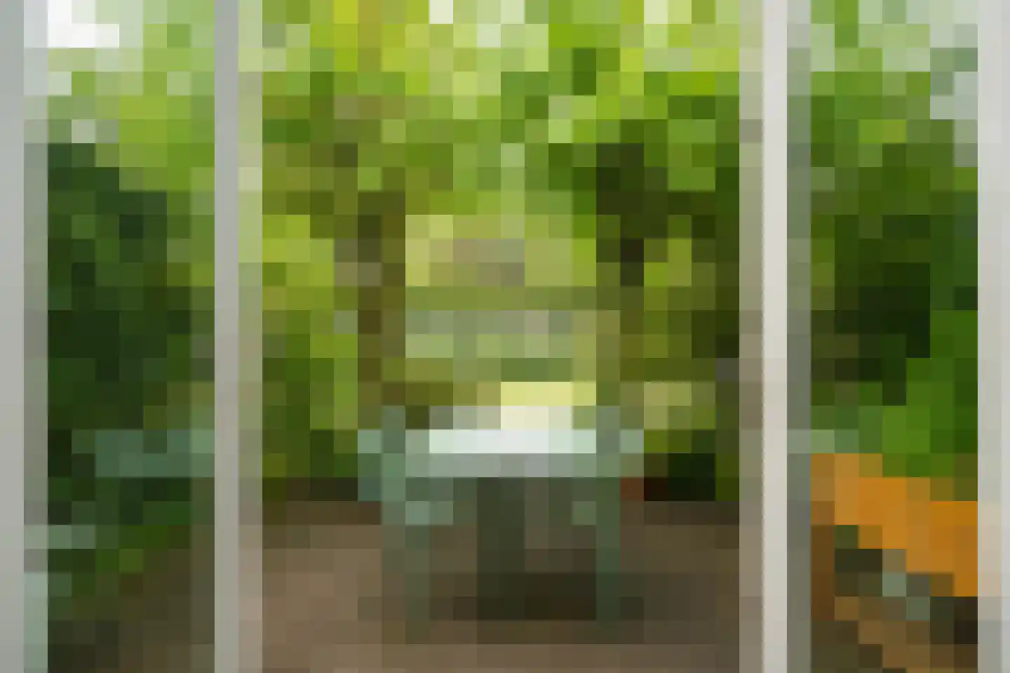 Park Welgelegen 2 Driebergen-Rijsenburg thumbnail 35