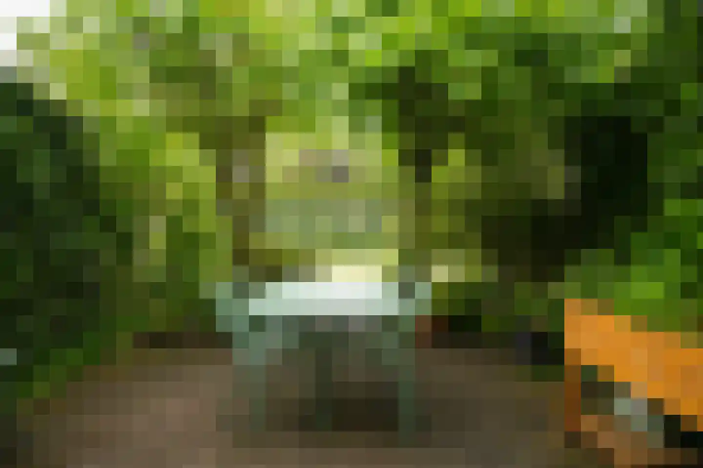Park Welgelegen 2 Driebergen-Rijsenburg thumbnail 36