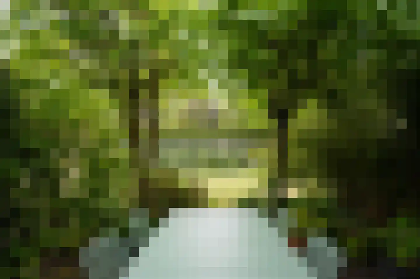 Park Welgelegen 2 Driebergen-Rijsenburg thumbnail 38