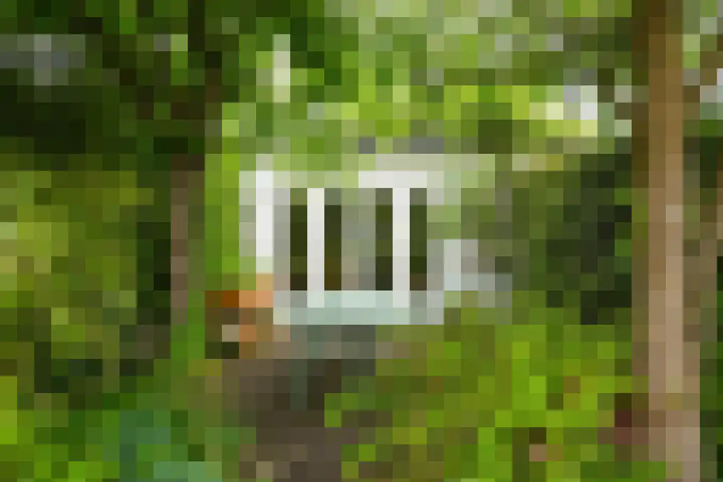 Park Welgelegen 2 Driebergen-Rijsenburg thumbnail 39
