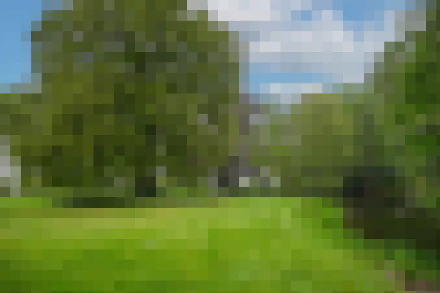Park Welgelegen 2 Driebergen-Rijsenburg thumbnail 43