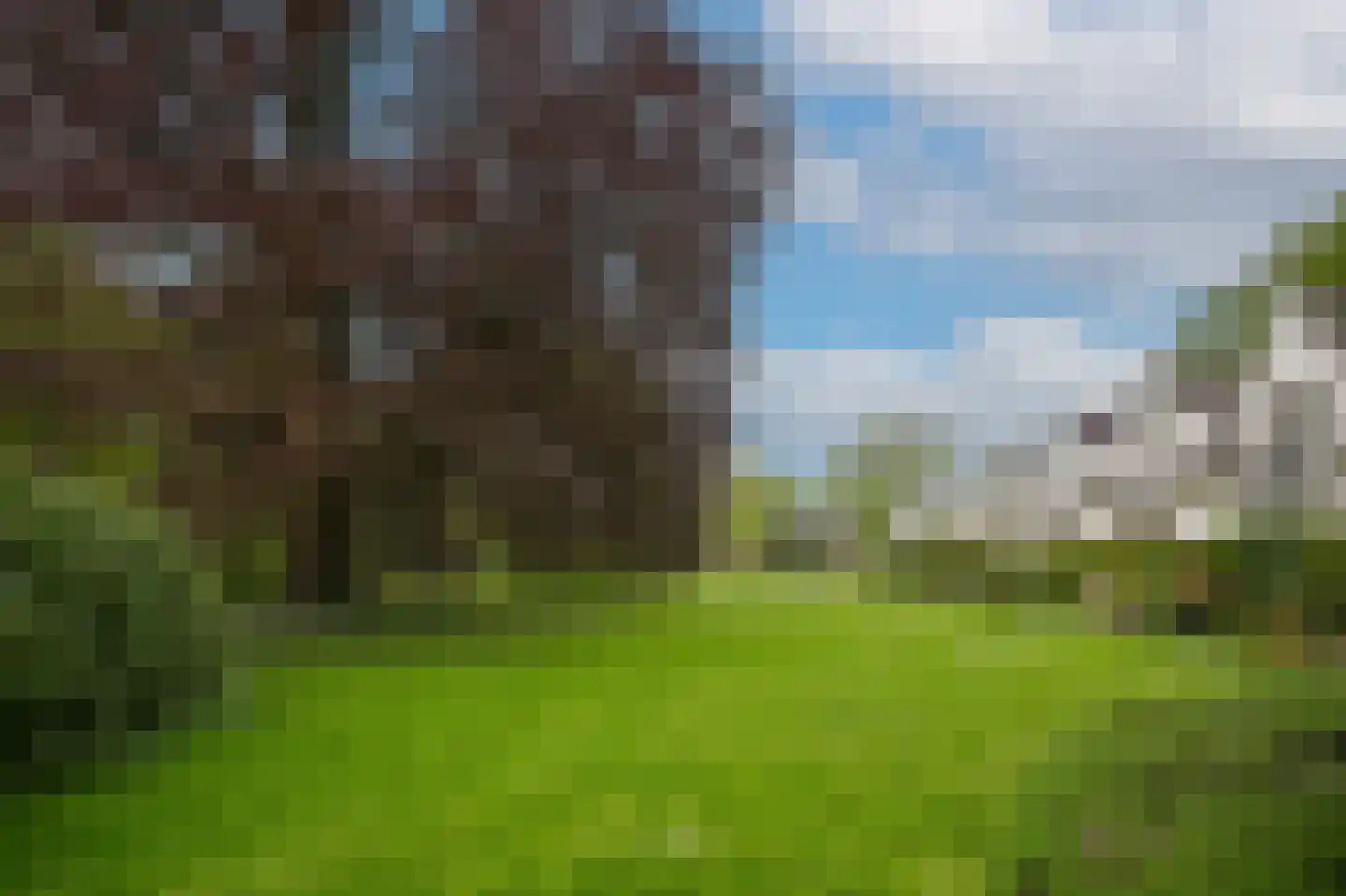 Park Welgelegen 2 Driebergen-Rijsenburg thumbnail 45