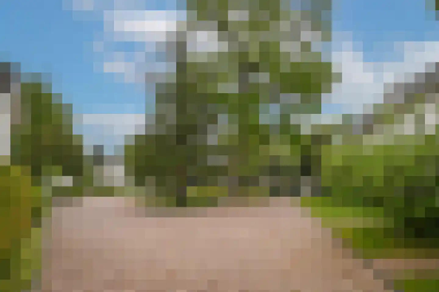Park Welgelegen 2 Driebergen-Rijsenburg thumbnail 48