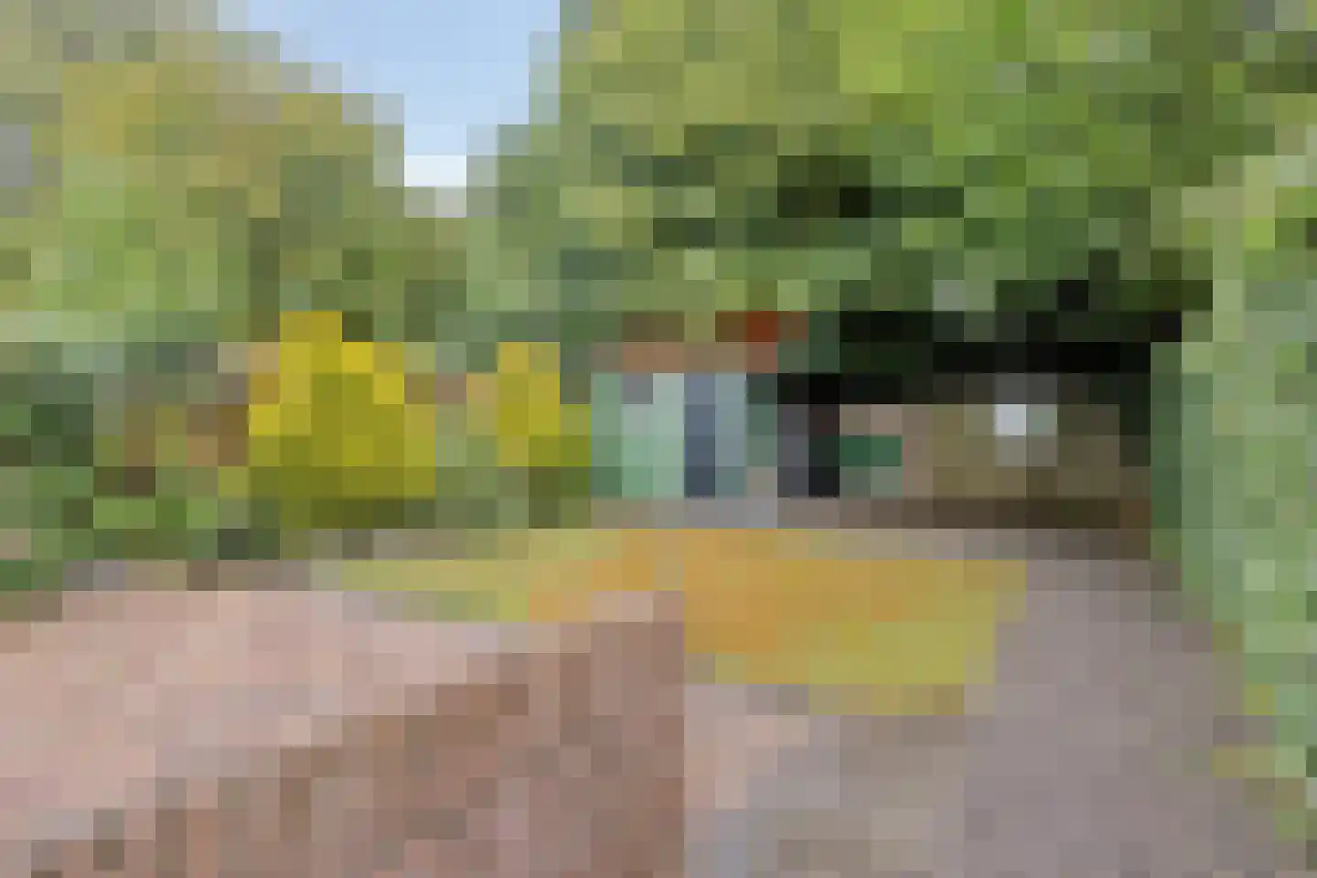 Park Westerweide 1 Tuitjenhorn thumbnail 17