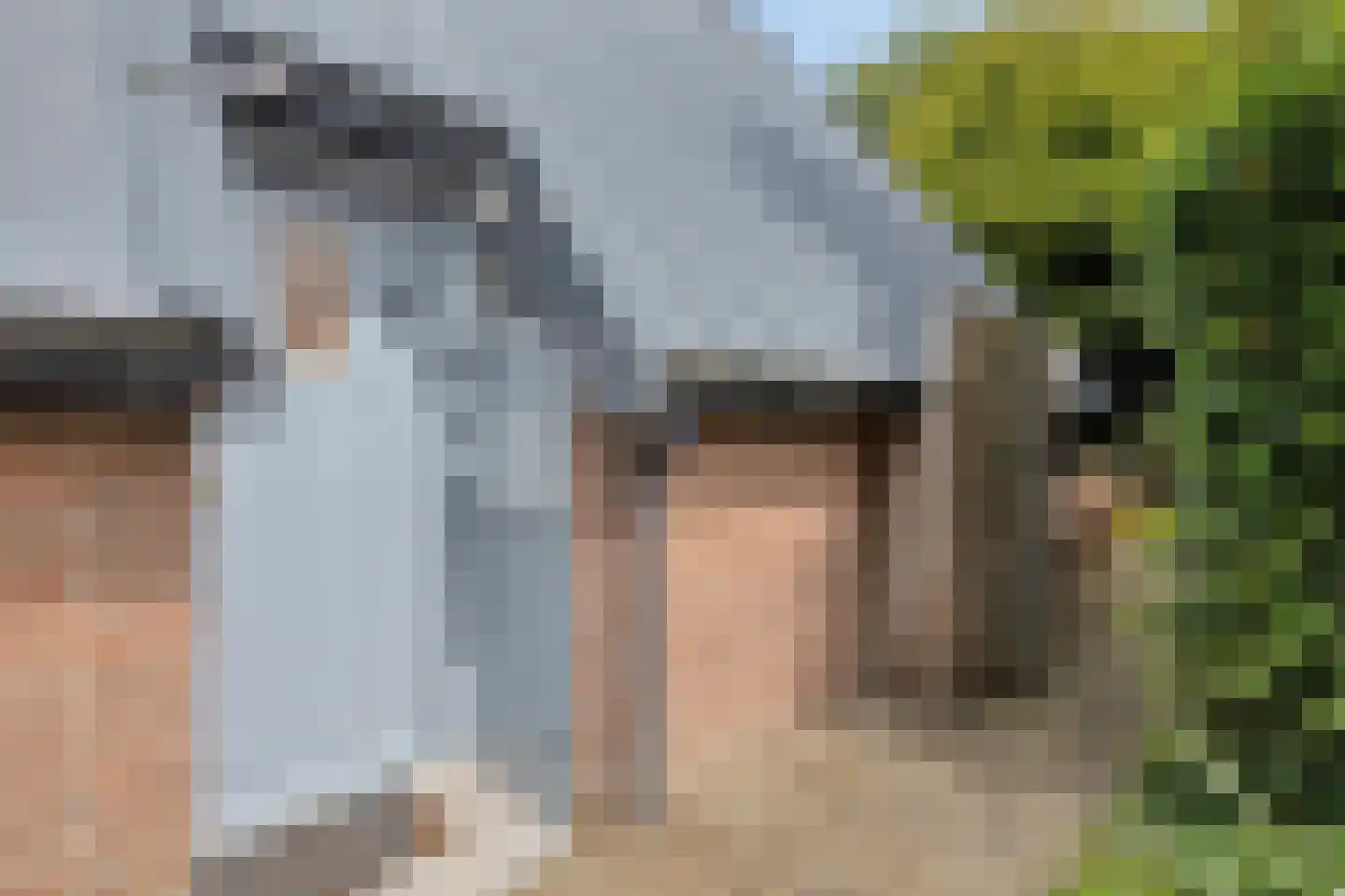 Park Westerweide 1 Tuitjenhorn thumbnail 20