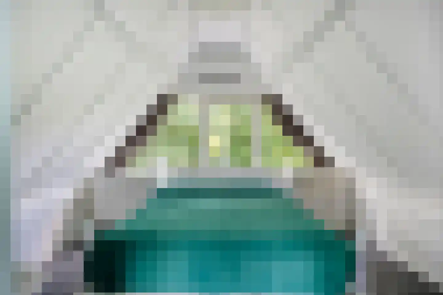 Park Westerweide 7 Tuitjenhorn thumbnail 12