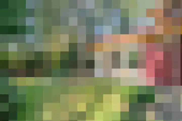 Park Wissel 5 Epe thumbnail 27