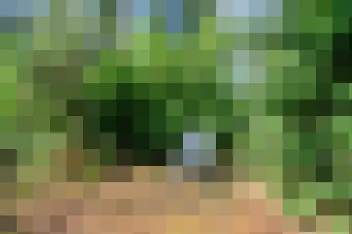 Park Wissel 5 Epe thumbnail 29