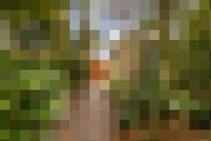 Park Wissel 5 Epe thumbnail 30