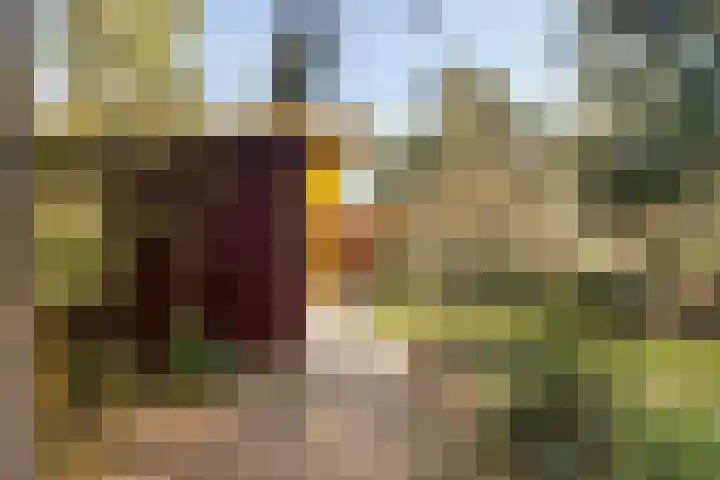 Park Wissel 5 Epe thumbnail 5