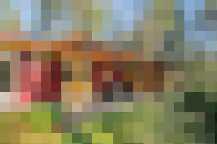 Park Wissel 5 Epe thumbnail 6