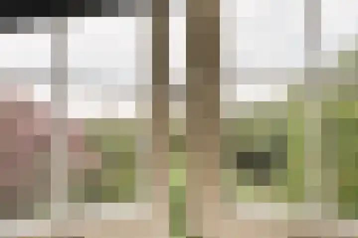 Park Zomerlust 10 Zevenhoven thumbnail 19