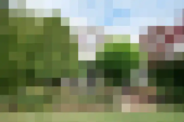 Park Zomerlust 10 Zevenhoven thumbnail 25