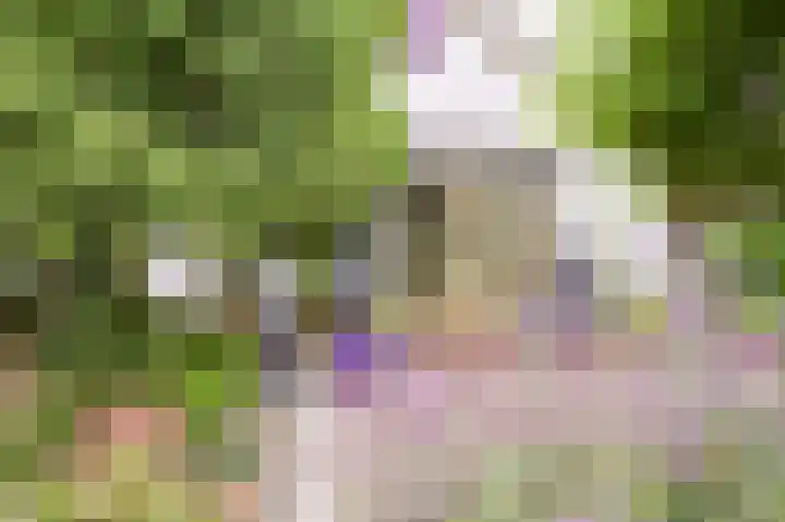 Park Zomerlust 10 Zevenhoven thumbnail 29