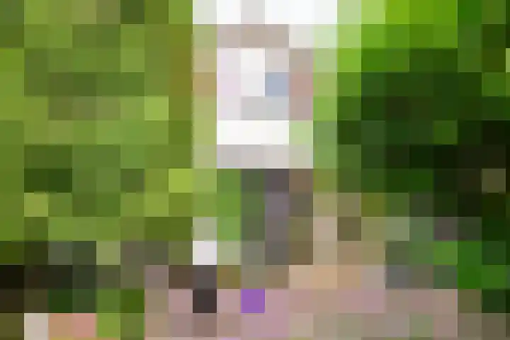 Park Zomerlust 10 Zevenhoven thumbnail 30